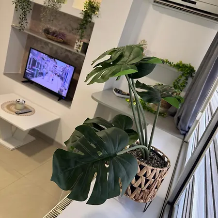 Spanish 6 Apartament *