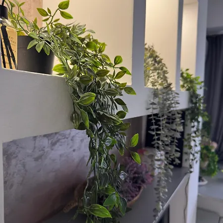 Apartament Spanish 6